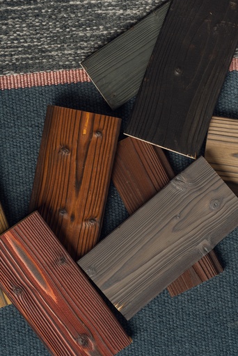 Degintos dailylentės